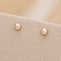 3mm Sterling Silver Gold Pearl Stud Earrings, thumbnail 1 of 5