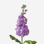 Amethyst Stock Fresh Bouquet, thumbnail 3 of 4