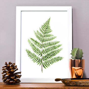 Fern Leaf Botanical Print Painting By Astrid Brisson ...