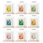 Personalised June Birth Flower Print Various Colours, thumbnail 3 of 4