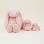 Personalised Pink Bunny Soft Toy, thumbnail 5 of 6