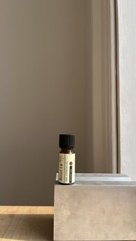 Rosewood Bark Essential Oil, 2 of 7