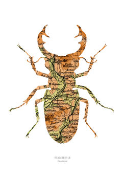 Personalised Stag Beetle Map Print, 4 of 4
