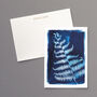 British Ferns Postcard Pack Of Five, thumbnail 6 of 7