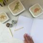 Dinosaur Gift Box For Kids – Lunch And Learn Set – Ideal For School And Birthdays, thumbnail 7 of 9