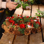 Festive Pine And Poinsettia Wreath, thumbnail 6 of 7