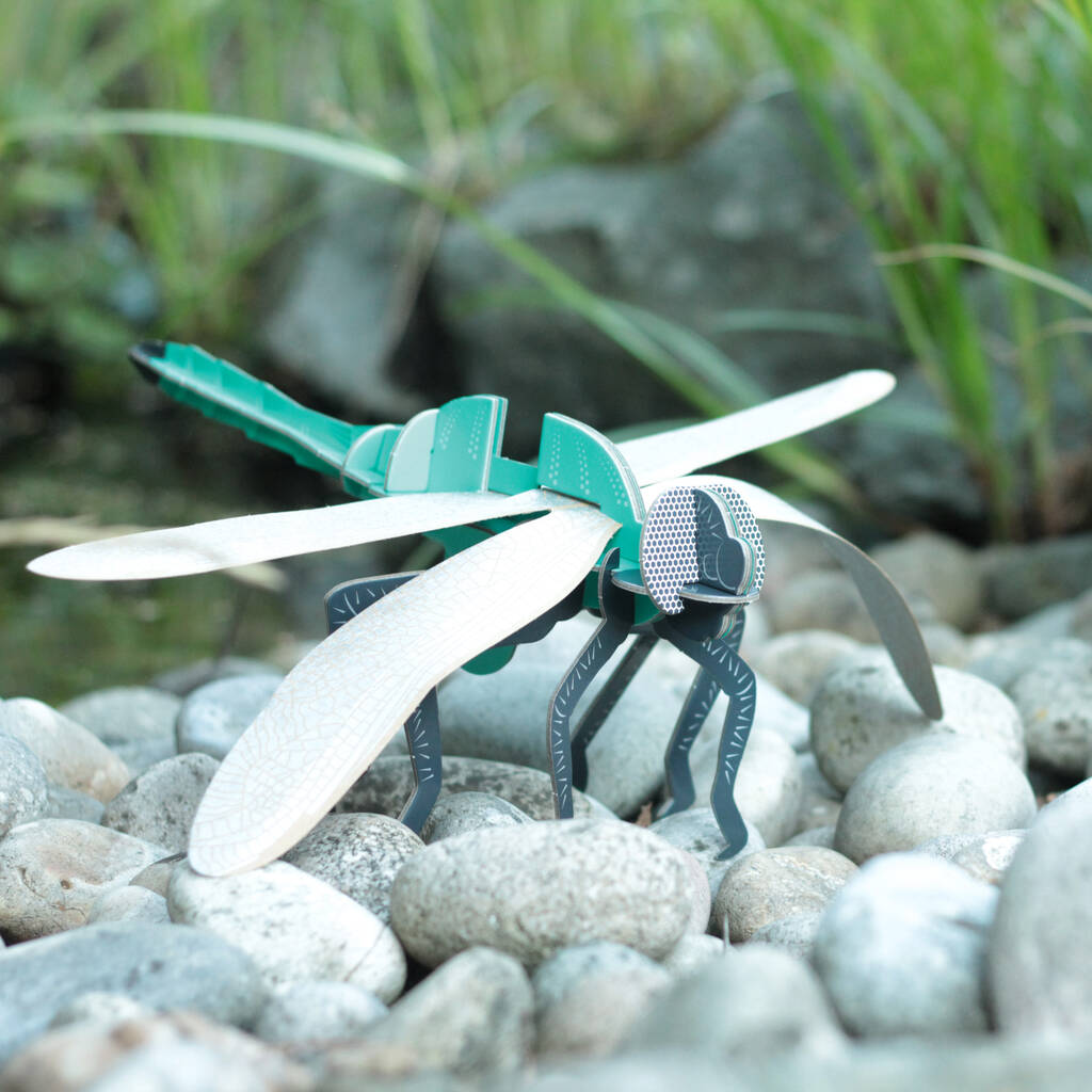 Build Your Own Personalised Dragonfly Kit, 1 of 12
