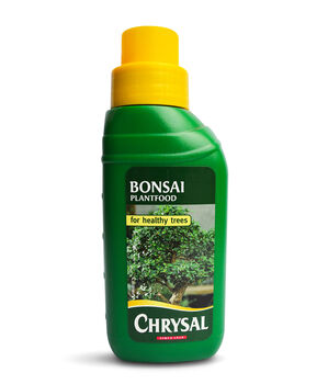 Master Bonsai Tree Starter Kit Bundle, 7 of 9