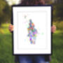 Polo Sport Prints, thumbnail 3 of 5