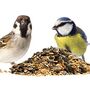 Wild Bird Seed Mix One Kg Pack, thumbnail 1 of 9