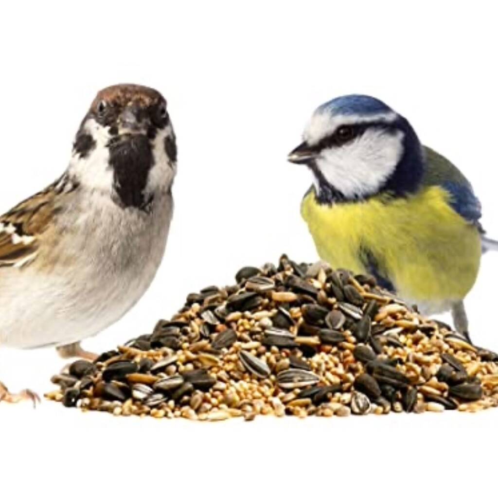 Wild Bird Seed Mix One Kg Pack By Acqua Garden