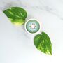 Mint Chocolate Vegan Organic Lip Balm, thumbnail 1 of 3