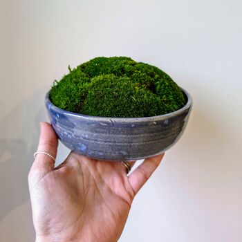 Preserved Moss In A Small Ceramic Handmade Bowl, 8 of 8