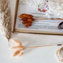 Peaches And Cream Letterbox Dried Flower Arranging Kit, thumbnail 3 of 5