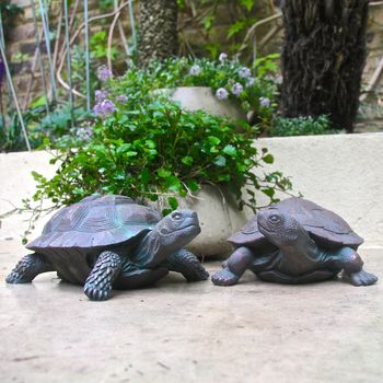 Tortoise Garden Decoration Set Of Two By London Garden Trading