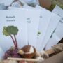 Sustainable Grow Your Own Botany Club Hamper Kit, thumbnail 4 of 7