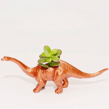 Diplodocus Dinosaur Planter With A Plant, 2 of 8