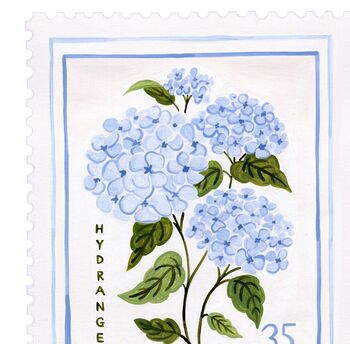 Hydrangea Art Print, 6 of 7