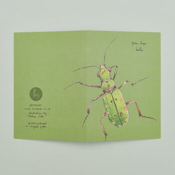 Set Of Four Greeting Cards Of British Insects, 4 of 10