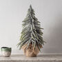 Mini Downswept Snowy Christmas Tree, thumbnail 1 of 3
