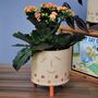 Personaised Smiley Face Dotty Spotty Plant Pot, thumbnail 2 of 10
