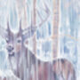 The Winter Monarchs, thumbnail 5 of 8