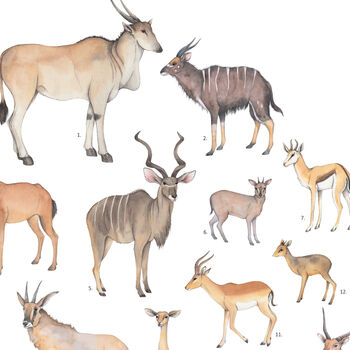 Antelope Animal Print, 4 of 4