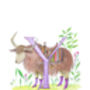 Y Is For Yak Alphabet Art Print, thumbnail 2 of 11