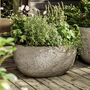 Cranford Oval Ficonstone Garden Planter, thumbnail 1 of 6