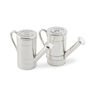 Watering Can Salt And Pepper Set, thumbnail 3 of 4