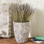 Inzola Botanical Planter, thumbnail 1 of 4