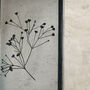 Three Pressed Flower Frame Arrangements: Straw Flowers, thumbnail 5 of 12