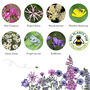 Love Wildflower Seeds Gardening Gift, thumbnail 11 of 12
