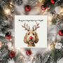 Furry And Bright Dog Christmas Card Pack. Mixed Pack Or One Design, thumbnail 4 of 5