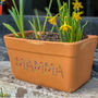 Personalised Fully Floral Terracotta Planter, thumbnail 1 of 2