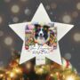 Personalised Border Collie In Christmas Lights, thumbnail 3 of 10