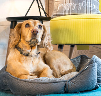 Luxury Soft Quilted Dog Bed, 3 of 9