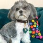 Puppies And Piña Coladas Personalised Dog Collar Charm, thumbnail 4 of 4