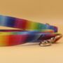 Rainbow Ombré Dog Collar And Lead Accessory Set, thumbnail 2 of 12