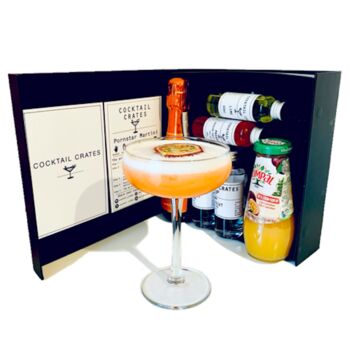 Pornstar Martini Cocktail Gift Box, 5 of 5