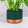 Forest Stellar Planter, thumbnail 1 of 4