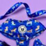 Skateboarding Dogs Harness Lead Collar Waste Bad Set Bundle, thumbnail 3 of 11