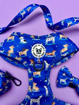 Skateboarding Dogs Harness Lead Collar Waste Bad Set Bundle, 3 of 11