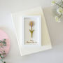 April Birth Flower Miniature Daisy Wall Art Gift, thumbnail 2 of 12
