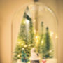 Christmas Terrarium Kit, Glass Dome With Fairy Lights, thumbnail 4 of 8