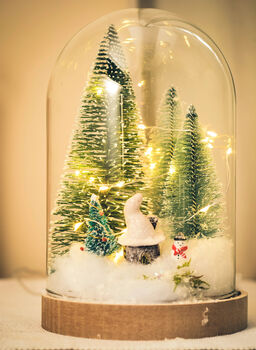 Christmas Terrarium Kit, Glass Dome With Fairy Lights, 4 of 8