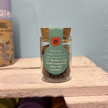 Wildflower Jar Stocking Fillers Set Of Six Flowers, 5 of 11
