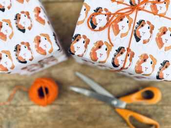 Guinea Pig Wrapping Paper, 3 of 3