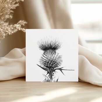 Scottish Thistle Greeting Card, 3 of 6
