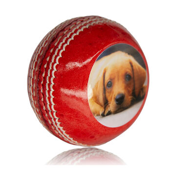 Personalised Cricket Ball Photo Printed, 4 of 9